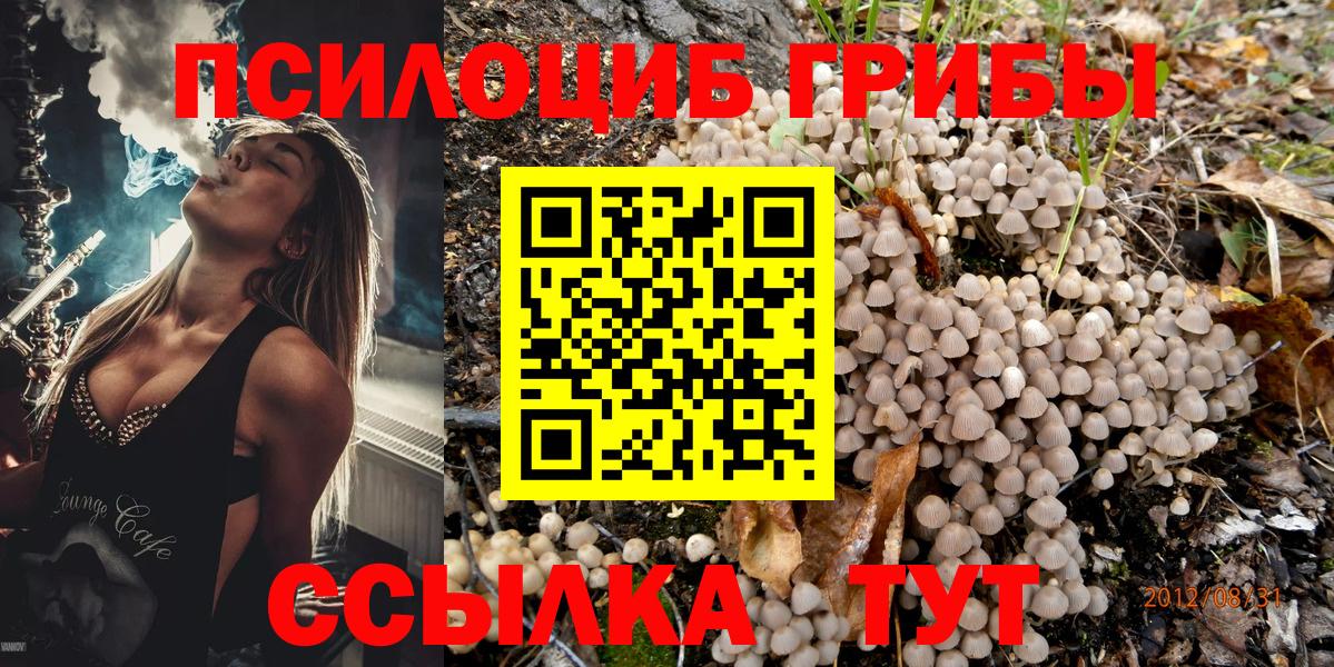 Галлюциногенные грибы прущие грибы  Вход с VPN  Вышний Волочёк 