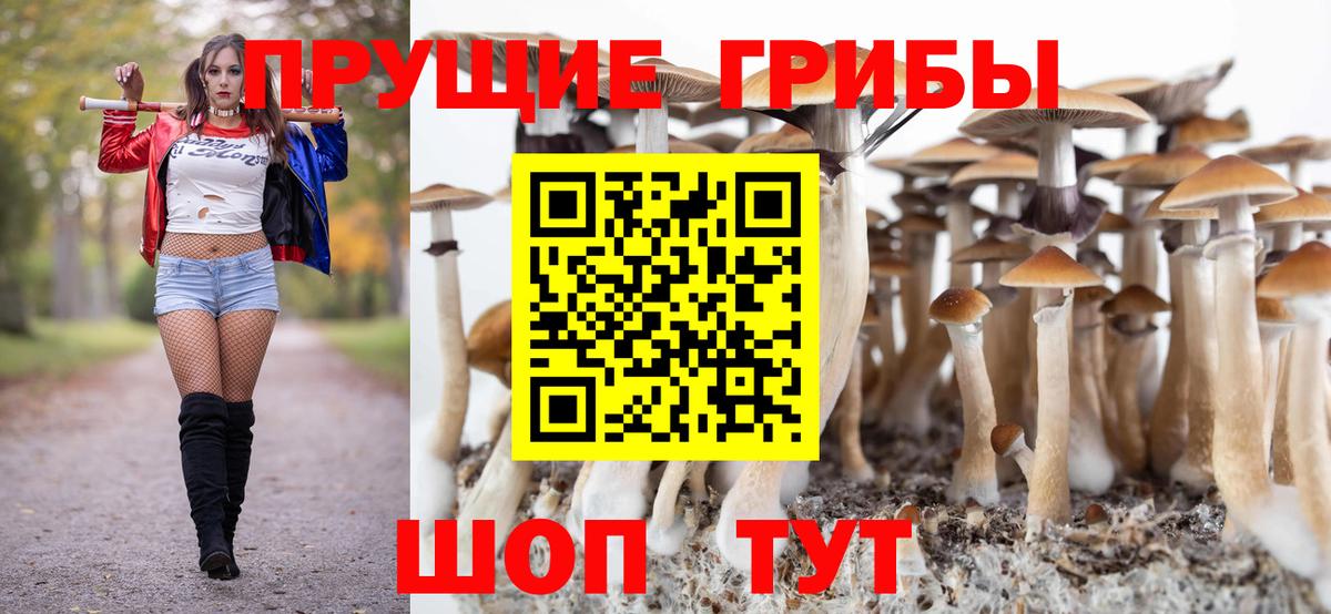 Галлюциногенные грибы Magic Shrooms  Вышний Волочёк  Псилоцибиновые грибы ЛСД 