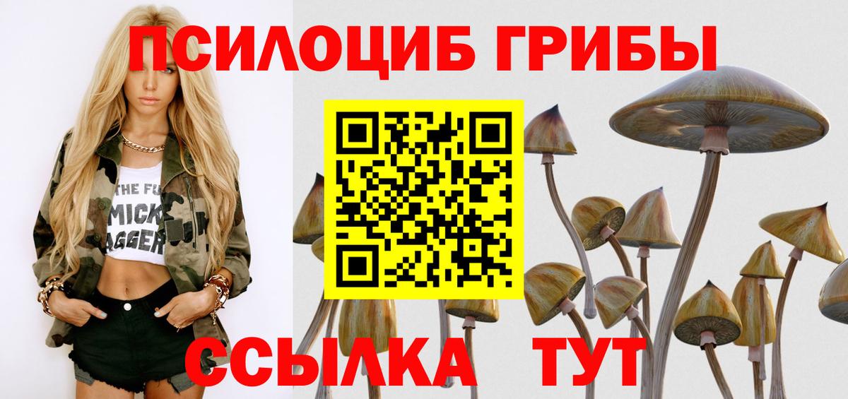 Галлюциногенные грибы Psilocybe Вышний Волочёк