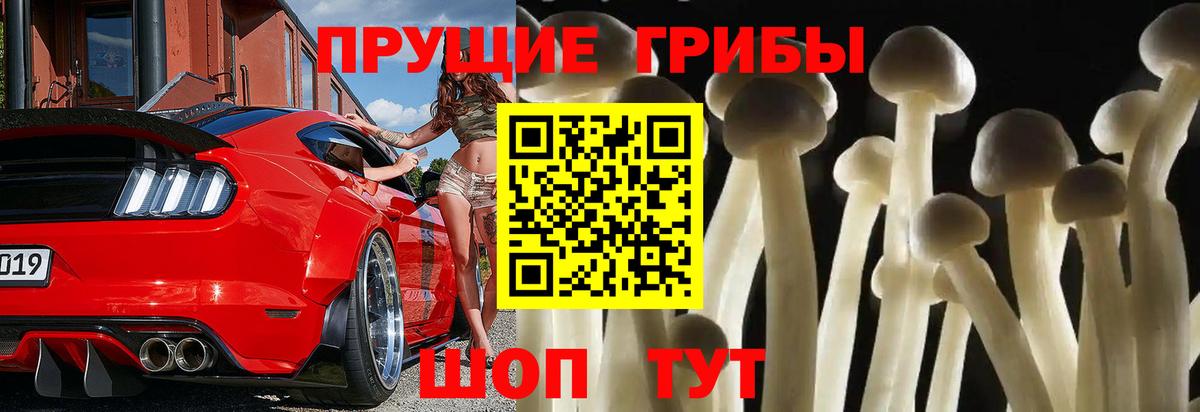 Псилоцибиновые грибы мицелий Вышний Волочёк